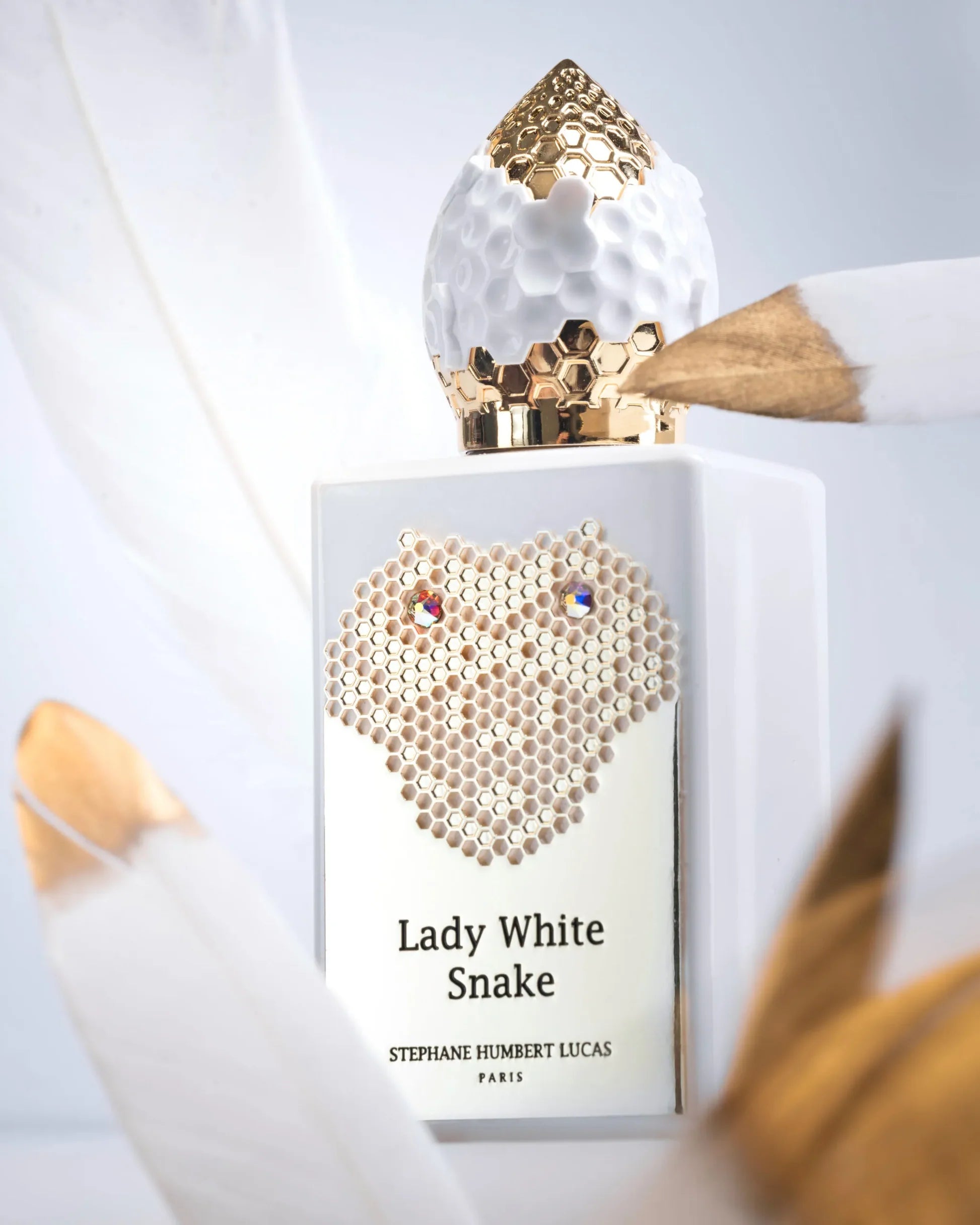 Tester Stephane Humbert Lucas Lady white snake